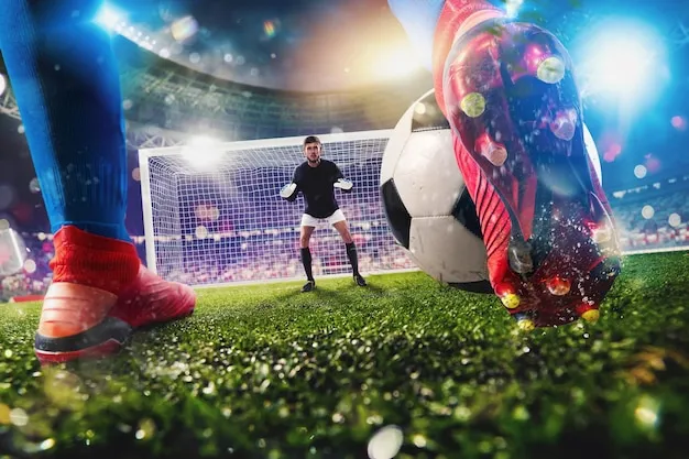 篮球直播体育直播